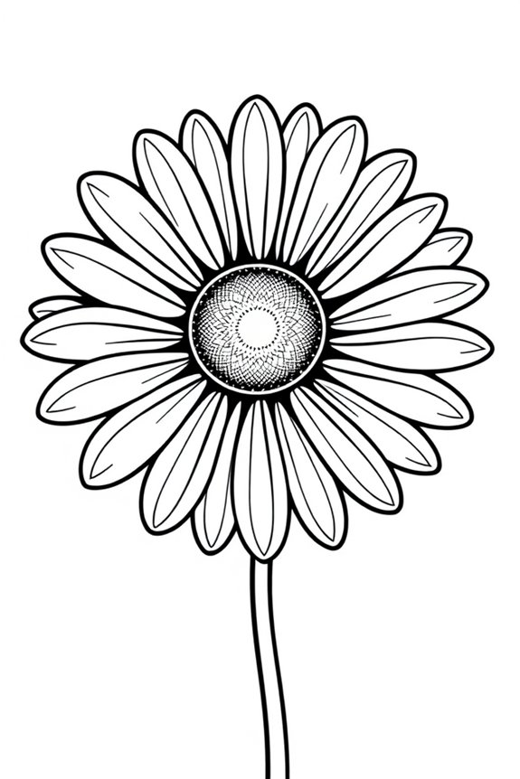 Daisy Flower Coloring Sheet