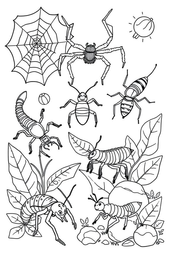 Creepy Crawly Creatures Coloring Sheet